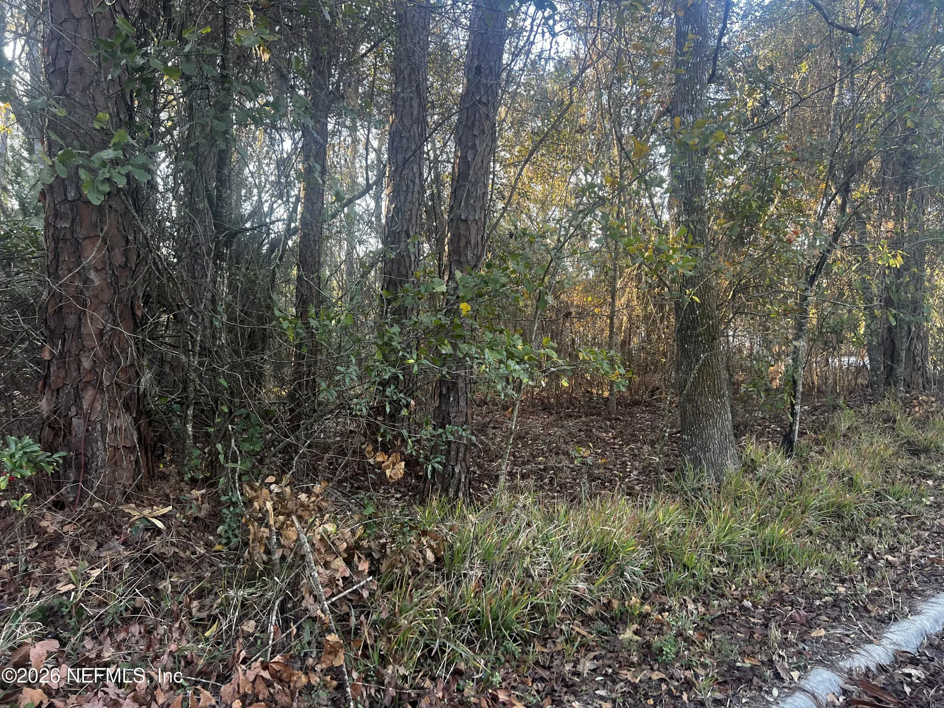 204X State Road 13 N Fruit Cove FL 32259