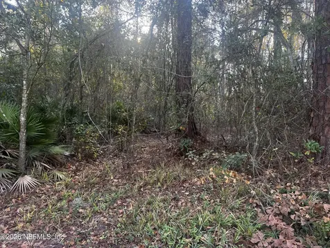 204X State Road 13 N Fruit Cove FL 32259