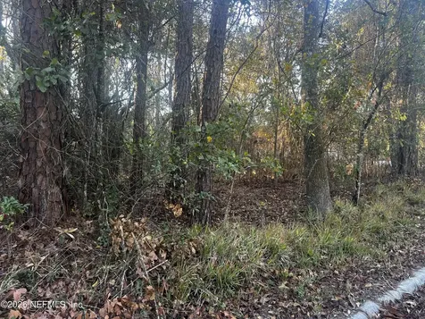 204X State Road 13 N Fruit Cove FL 32259