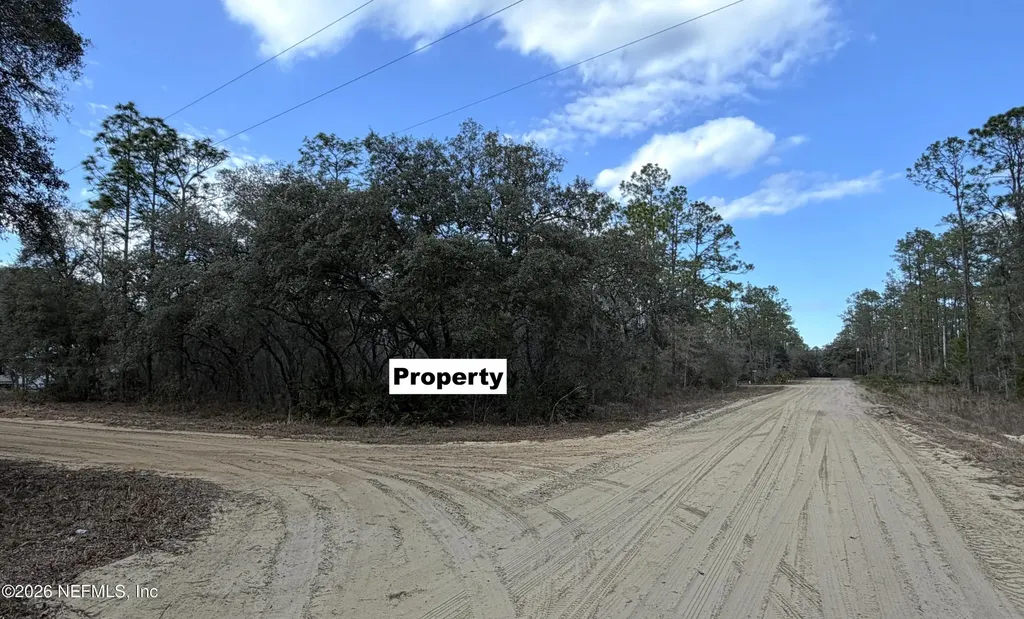 00 Banks Avenue Interlachen FL 32148
