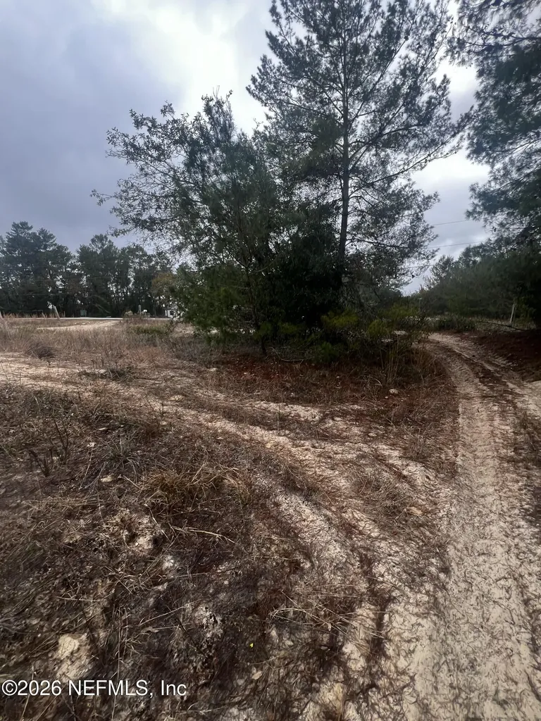 226 Ridge Road Satsuma FL 32189