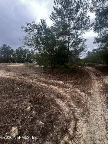 226 Ridge Road Satsuma FL 32189