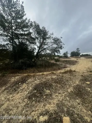 226 Ridge Road Satsuma FL 32189