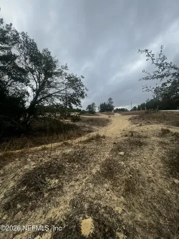 226 Ridge Road Satsuma FL 32189
