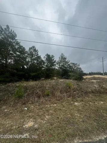 226 Ridge Road Satsuma FL 32189
