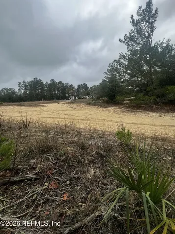 226 Ridge Road Satsuma FL 32189