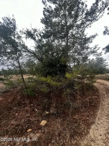 226 Ridge Road Satsuma FL 32189