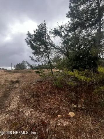 226 Ridge Road Satsuma FL 32189