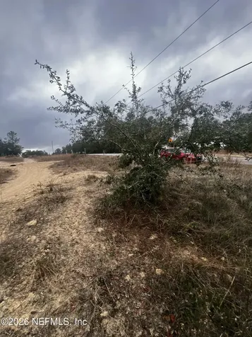 226 Ridge Road Satsuma FL 32189