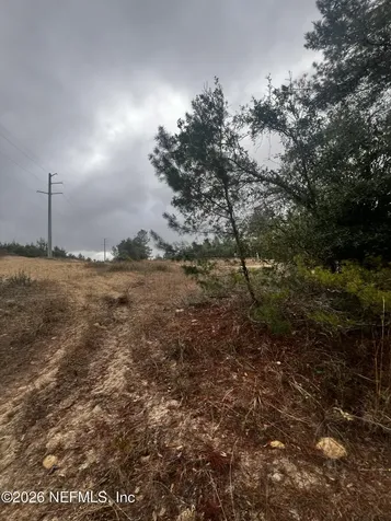 226 Ridge Road Satsuma FL 32189