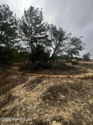 226 Ridge Road Satsuma FL 32189