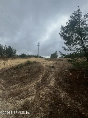 226 Ridge Road Satsuma FL 32189