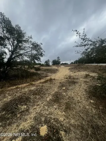 226 Ridge Road Satsuma FL 32189