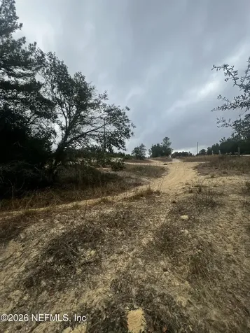 226 Ridge Road Satsuma FL 32189