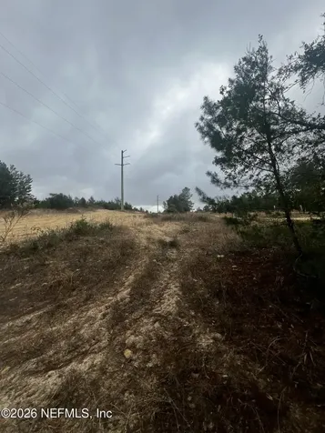 226 Ridge Road Satsuma FL 32189