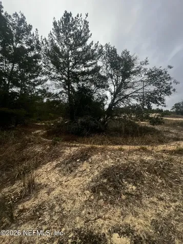 226 Ridge Road Satsuma FL 32189