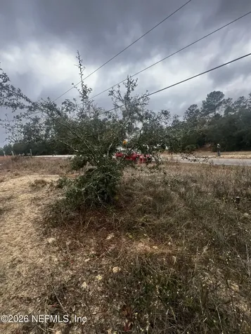 226 Ridge Road Satsuma FL 32189