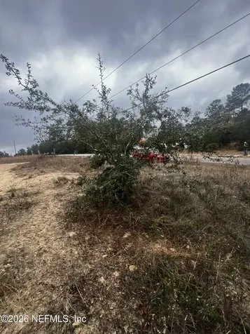 226 Ridge Road Satsuma FL 32189