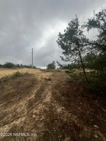 226 Ridge Road Satsuma FL 32189