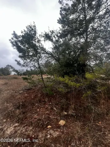 226 Ridge Road Satsuma FL 32189