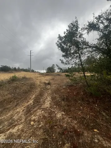 226 Ridge Road Satsuma FL 32189