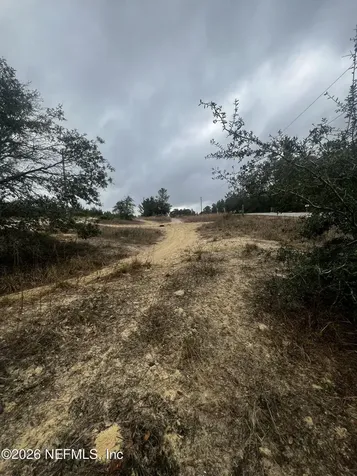 226 Ridge Road Satsuma FL 32189