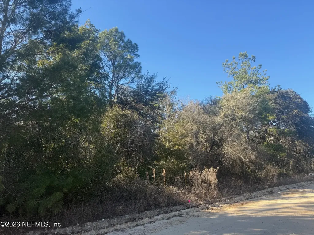 147 Nettles Road Florahome FL 32140