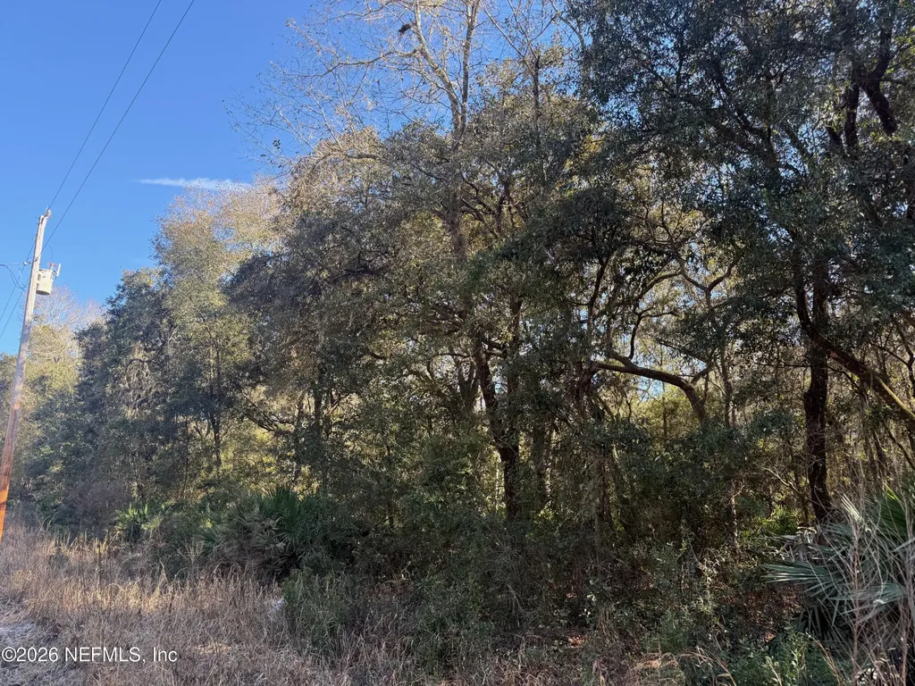 113 Doby Drive Florahome FL 32140