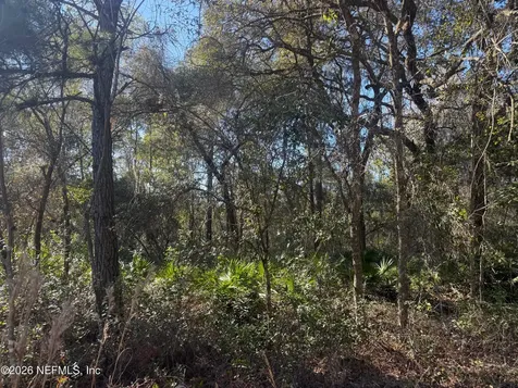 113 Doby Drive Florahome FL 32140