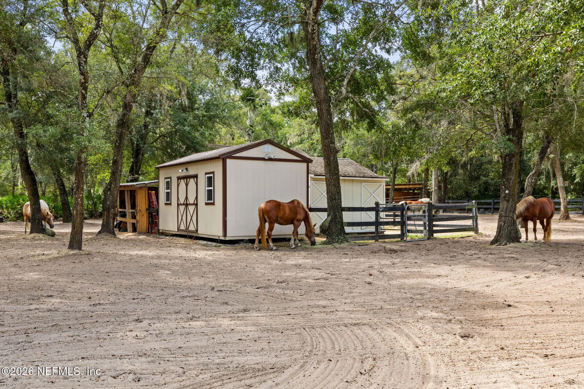 5011 John Anderson Highway Flagler Beach FL 32136