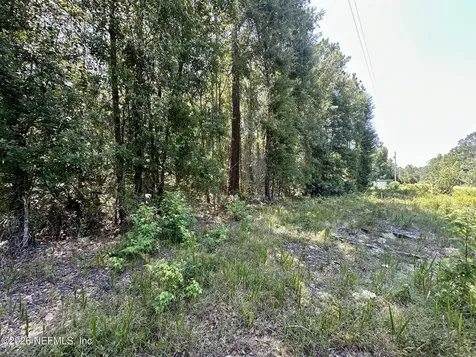 304 Lakeshore Drive Georgetown FL 32139