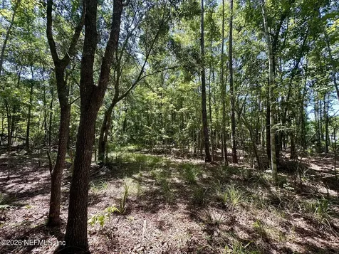304 Lakeshore Drive Georgetown FL 32139