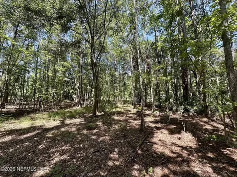 304 Lakeshore Drive Georgetown FL 32139
