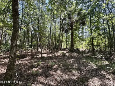 304 Lakeshore Drive Georgetown FL 32139
