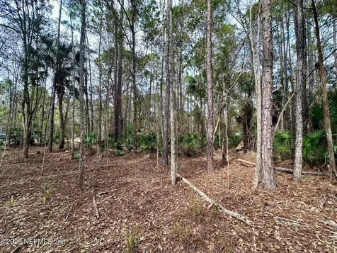304 Lakeshore Drive Georgetown FL 32139
