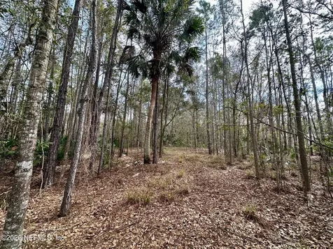 304 Lakeshore Drive Georgetown FL 32139