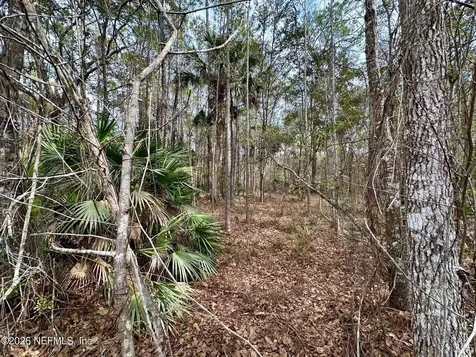 304 Lakeshore Drive Georgetown FL 32139
