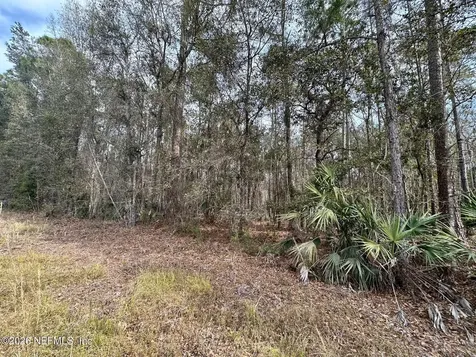 304 Lakeshore Drive Georgetown FL 32139