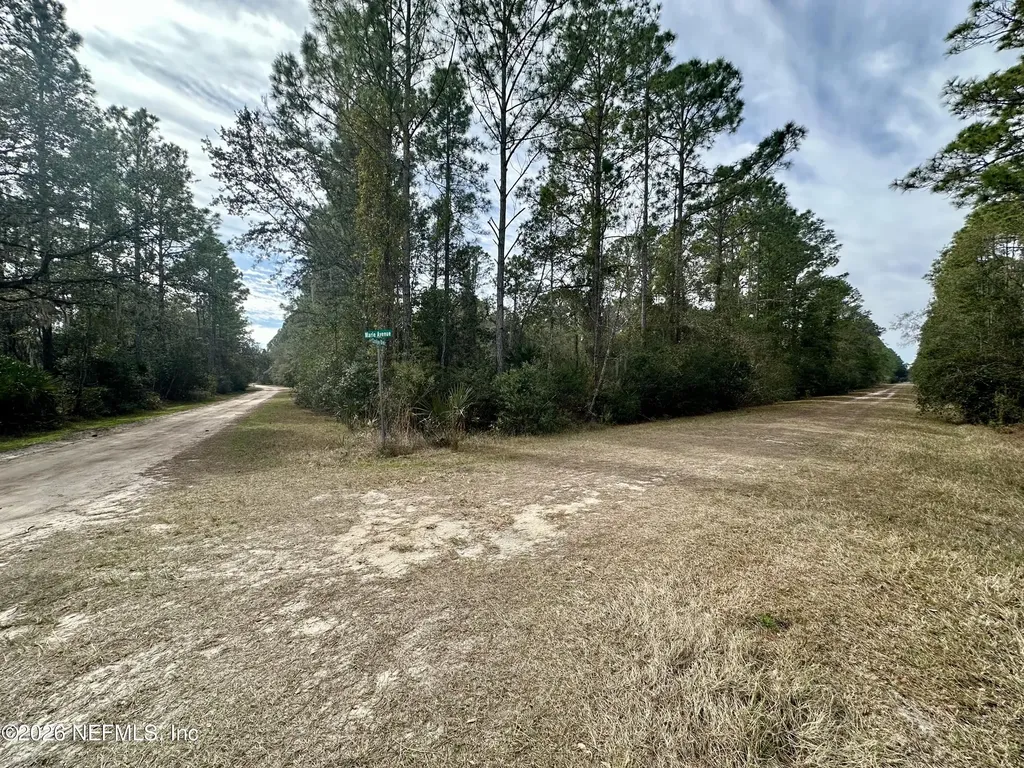 233 Marie Avenue Georgetown FL 32139