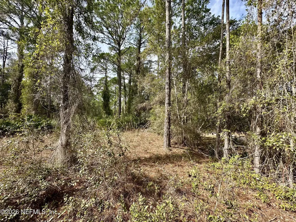 233 Marie Avenue Georgetown FL 32139