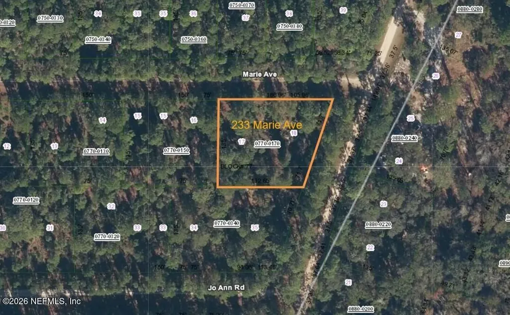 233 Marie Avenue Georgetown FL 32139