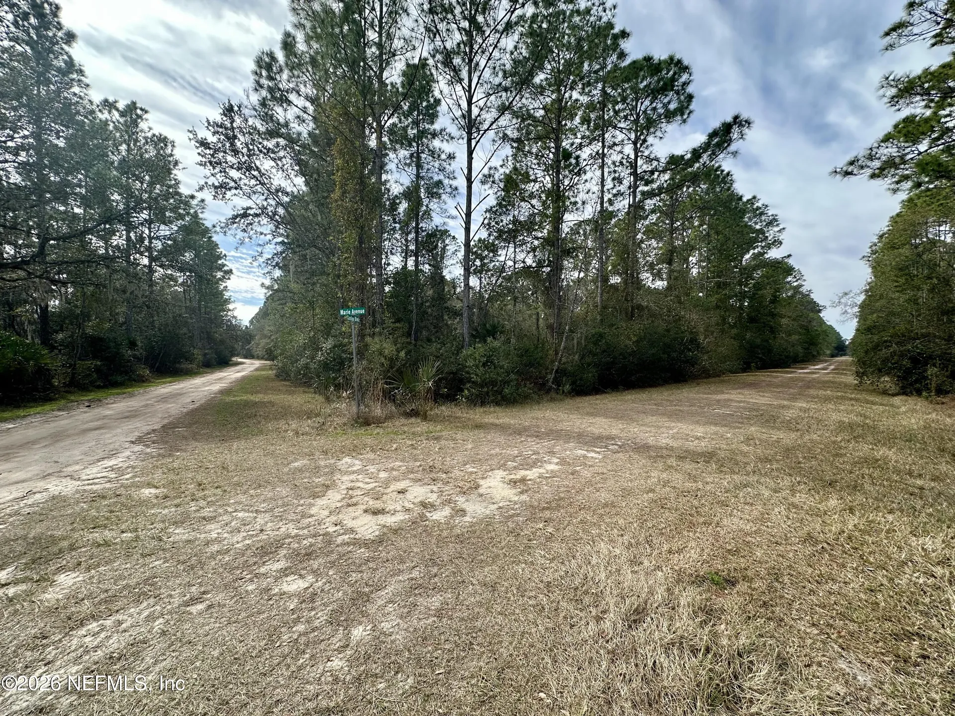 233 Marie Avenue Georgetown FL 32139