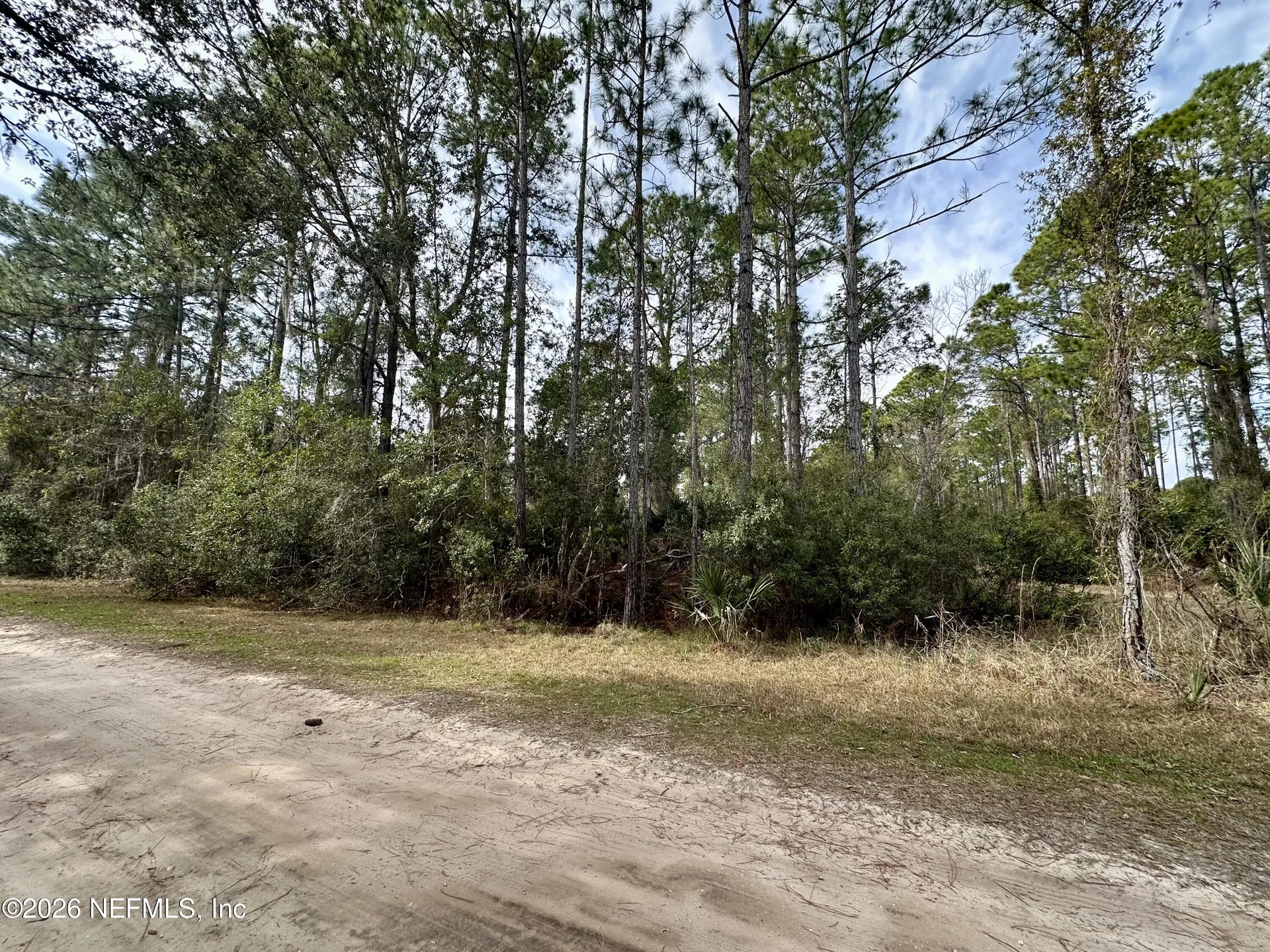 233 Marie Avenue Georgetown FL 32139