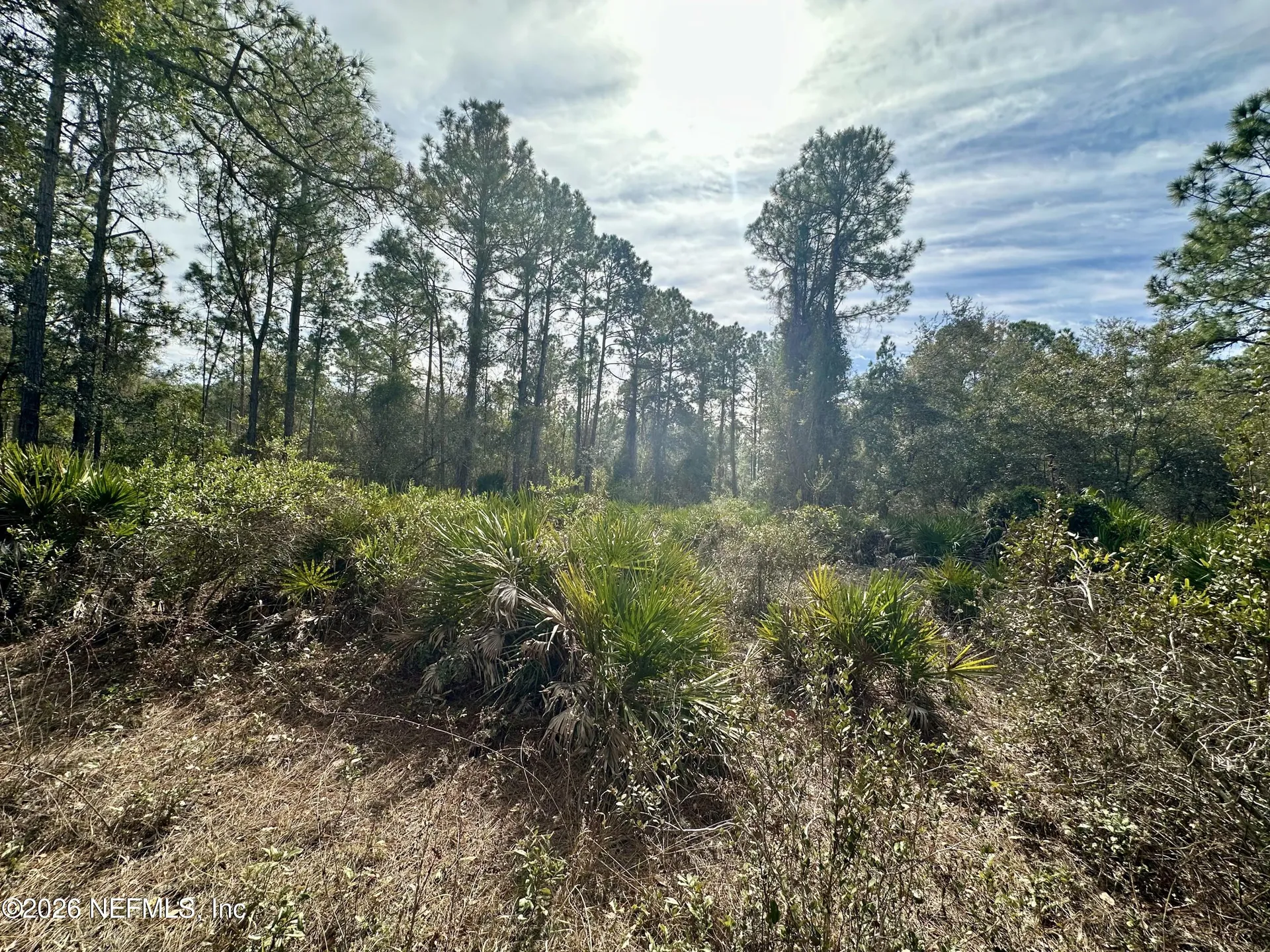 233 Marie Avenue Georgetown FL 32139