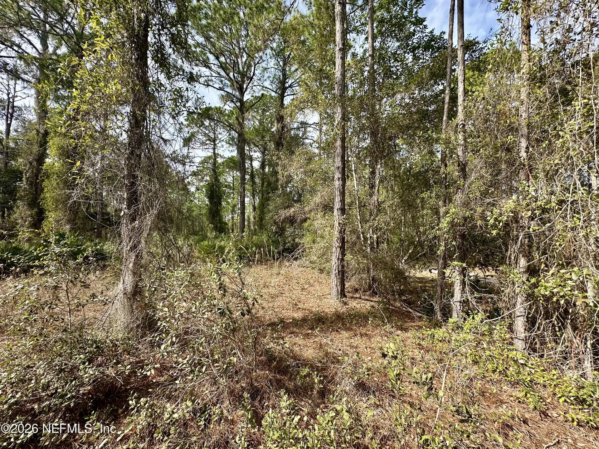 233 Marie Avenue Georgetown FL 32139