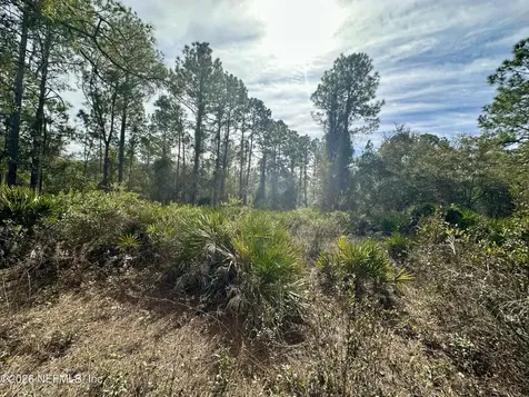 233 Marie Avenue Georgetown FL 32139