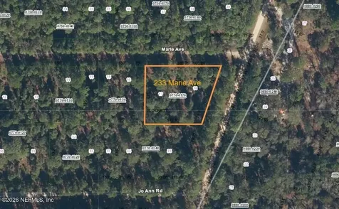 233 Marie Avenue Georgetown FL 32139