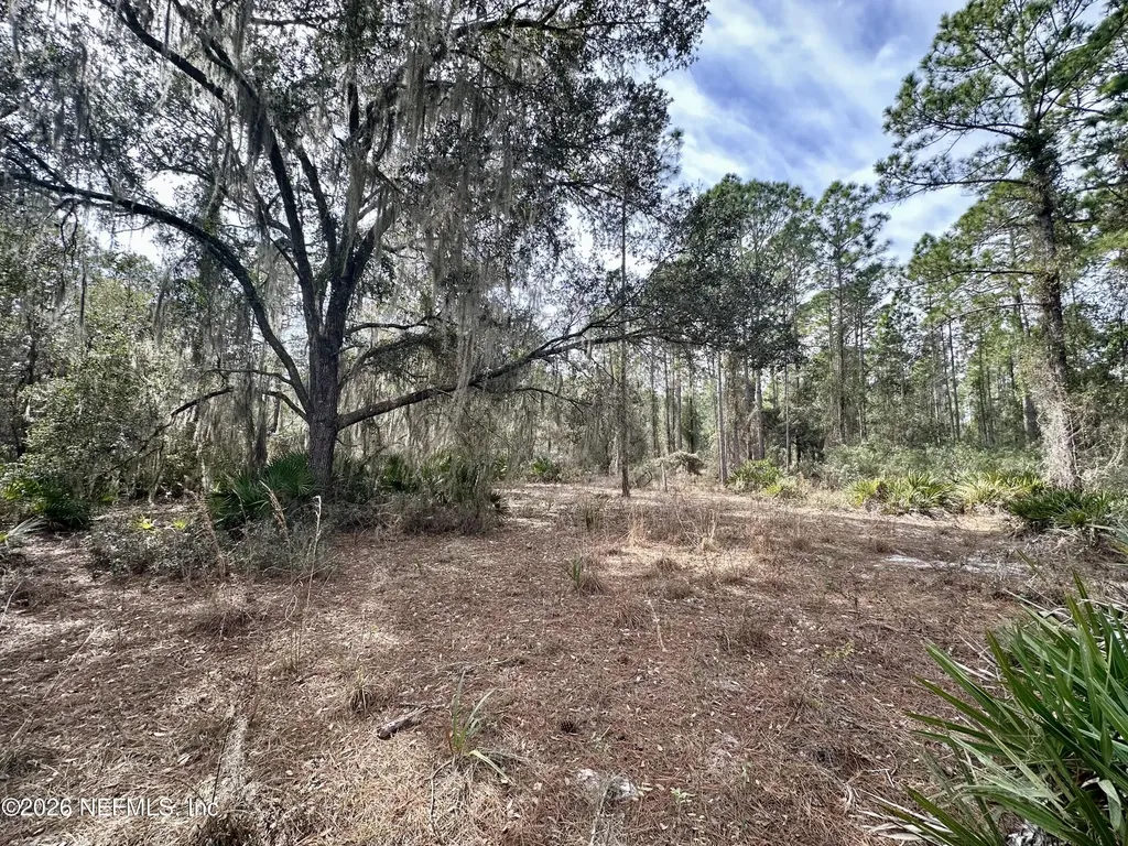 229 Marie Avenue Georgetown FL 32139