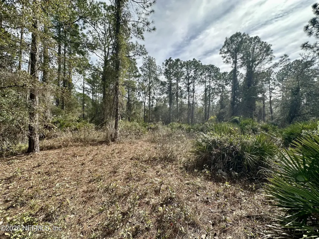 229 Marie Avenue Georgetown FL 32139