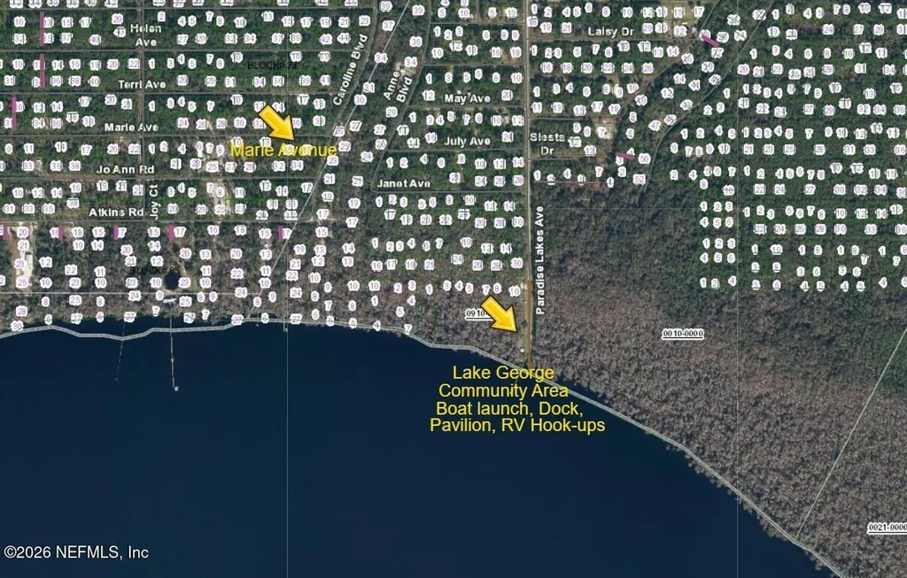 229 Marie Avenue Georgetown FL 32139